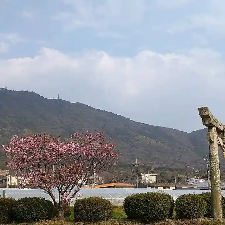 春日神社の自然