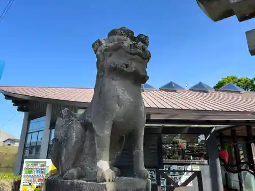 白川吉見神社の狛犬