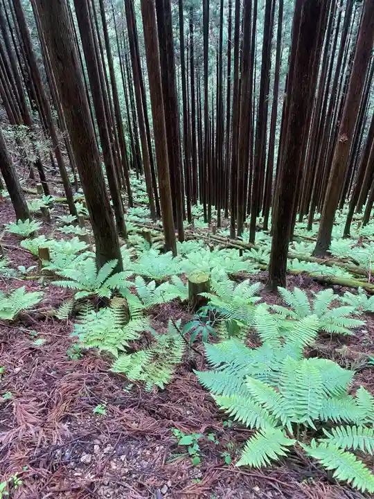 大峯山寺(奈良県)