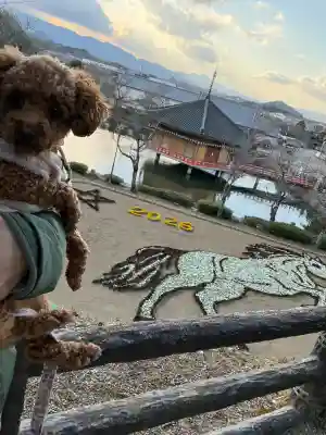 安倍文殊院 の{uncategorized: "未分類", other: "その他", undefined: "問題あり", building: "その他建物", grave: "お墓", sacred_gate: "鳥居", guardian: "狛犬", statue: "像", buddha: "仏像", history: "歴史", nature: "自然", garden: "庭園", animal: "動物", pagoda: "塔", temizu: "手水舎", mountain_gate: "山門・神門", sanctuary: "本殿・本堂", subordinate: "末社・摂社", art: "芸術", scenery: "景色", jizo: "地蔵", ema: "絵馬", goshuin: "御朱印", omikuji: "おみくじ", items: "授与品その他", amulet: "お守り", goshuincho: "御朱印帳", eats: "食事", festival: "お祭り", votive_dance: "神楽", shichigosan: "七五三参", wedding: "結婚式", experience: "体験その他", initially: "初詣", around: "周辺", anti_infection: "感染症対策"}