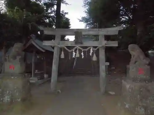 金田神社の鳥居