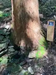 鵜鳥神社の自然