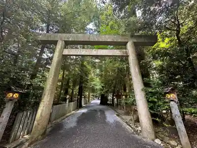 椿大神社の鳥居