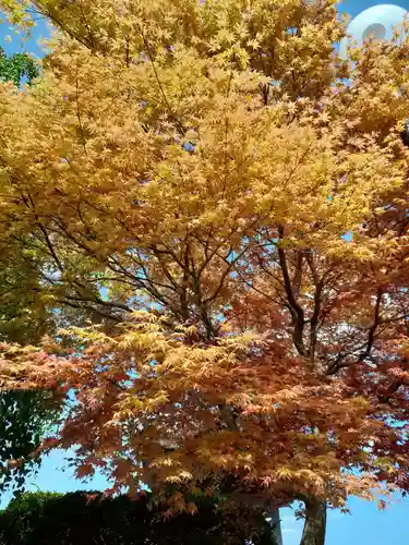 吉祥寺(岩手県)