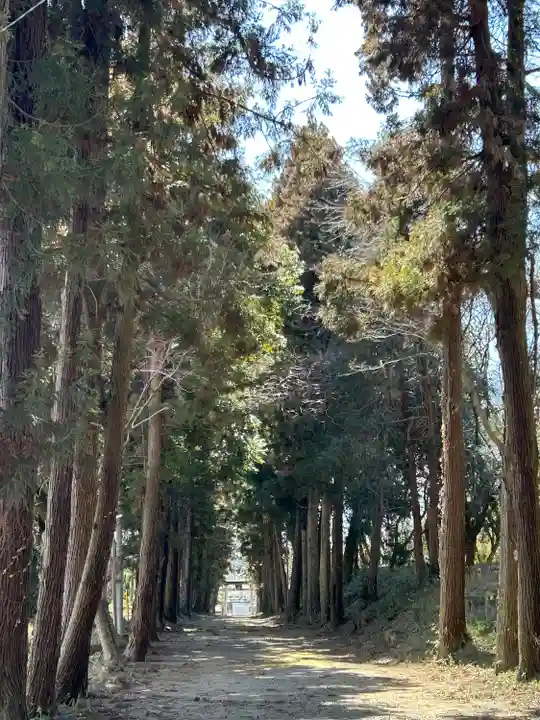 千代ケ岡八幡宮(栃木県)