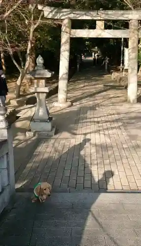 葛原八幡神社(福岡県)
