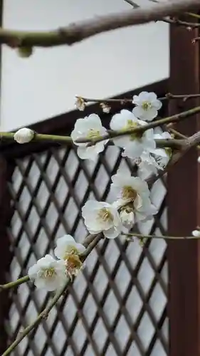 北野天満宮(京都府)