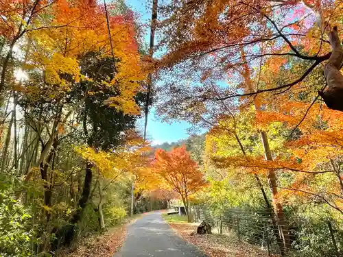 乾徳寺(滋賀県)