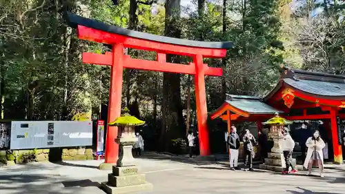 箱根神社の鳥居