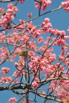 矢先稲荷神社の御朱印