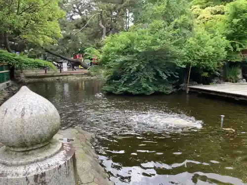 平塚八幡宮(神奈川県)