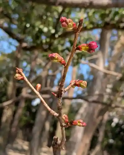 三津厳島神社(愛媛県)