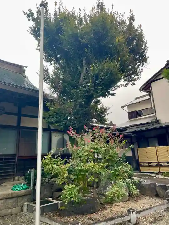 大通寺(神奈川県)