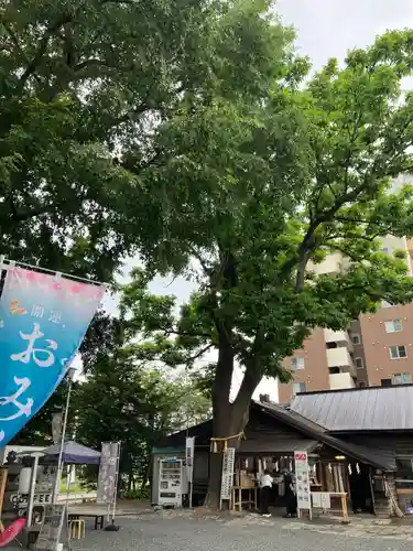 札幌諏訪神社の自然