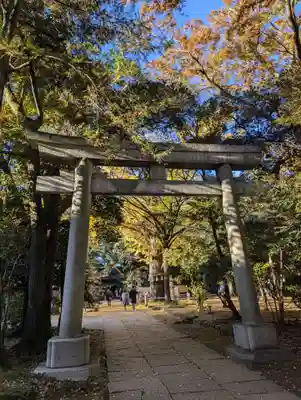 赤坂氷川神社(東京都)