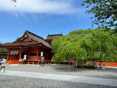 富士山本宮浅間大社(静岡県)