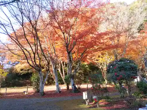 小松寺(千葉県)