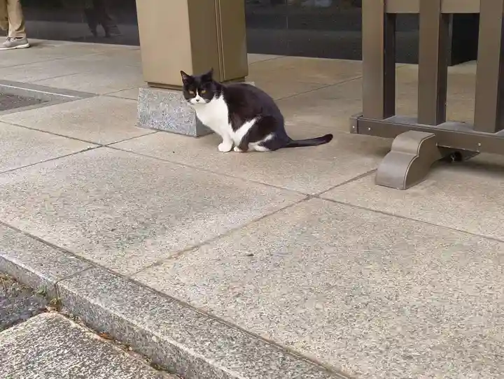 白金氷川神社(東京都)