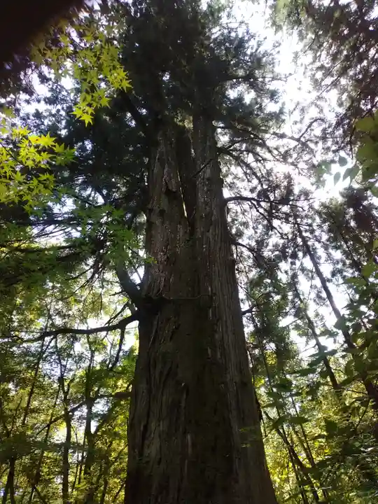 花園神社(茨城県)