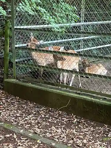 鹿島神宮(茨城県)