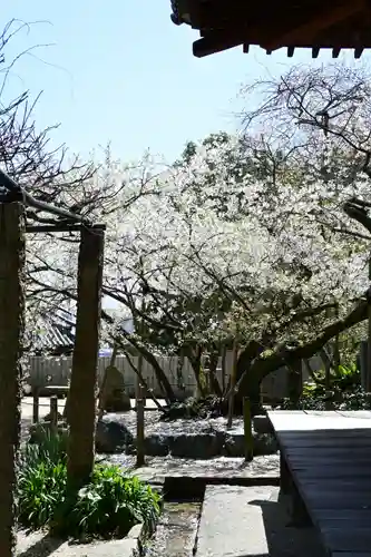 大宝寺(愛媛県)