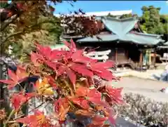 赤羽八幡神社の自然