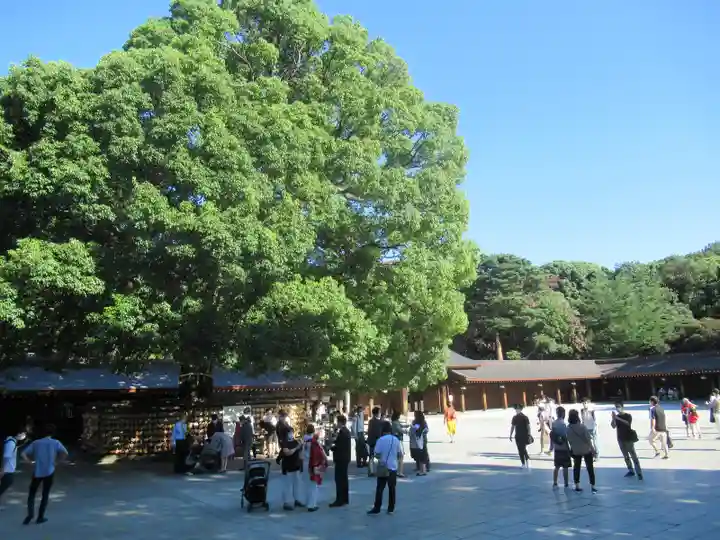 明治神宮(東京都)