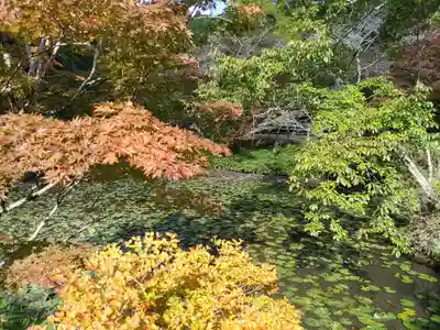 小松寺(千葉県)