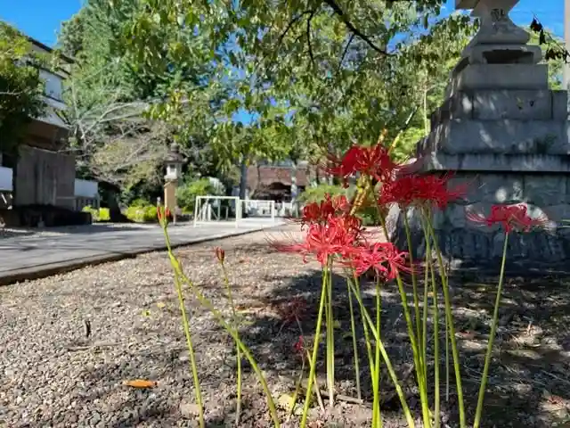 手力雄神社(岐阜県)