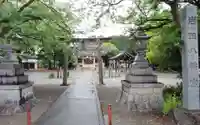 岩田八幡宮の御朱印