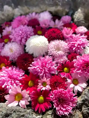 伊達神社の手水舎