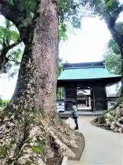 溝口竃門神社の自然