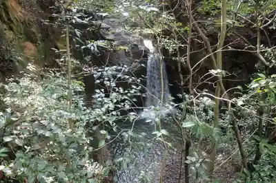 意賀美神社の自然