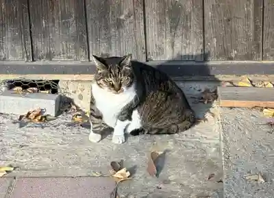 阿邪訶根神社(福島県)