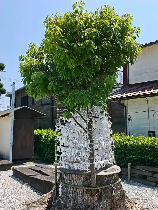 走水神社の{uncategorized: "未分類", other: "その他", undefined: "問題あり", building: "その他建物", grave: "お墓", sacred_gate: "鳥居", guardian: "狛犬", statue: "像", buddha: "仏像", history: "歴史", nature: "自然", garden: "庭園", animal: "動物", pagoda: "塔", temizu: "手水舎", mountain_gate: "山門・神門", sanctuary: "本殿・本堂", subordinate: "末社・摂社", art: "芸術", scenery: "景色", jizo: "地蔵", ema: "絵馬", goshuin: "御朱印", omikuji: "おみくじ", items: "授与品その他", amulet: "お守り", goshuincho: "御朱印帳", eats: "食事", festival: "お祭り", votive_dance: "神楽", shichigosan: "七五三参", wedding: "結婚式", experience: "体験その他", initially: "初詣", around: "周辺", anti_infection: "感染症対策"}