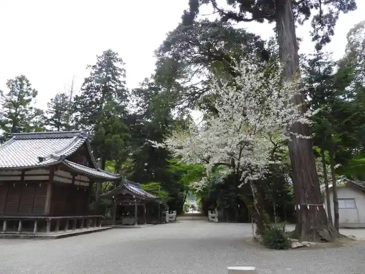 奥石神社(滋賀県)