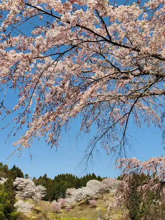 上石不動堂の自然