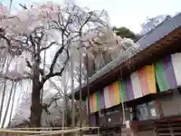 慈眼寺(埼玉県)