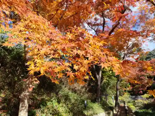 根来寺(和歌山県)