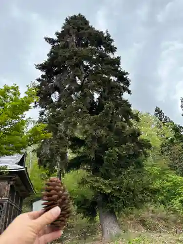 西明寺(山形県)