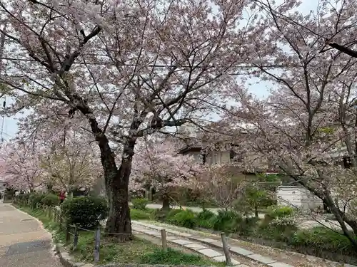 紫雲山 大泉寺のその他建物