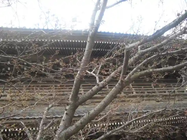 光明寺のその他建物