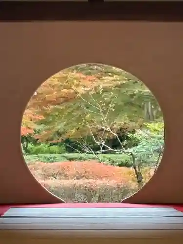 明月院(神奈川県)
