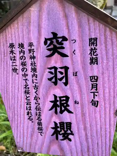 平野神社(京都府)