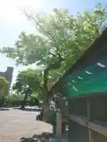 尾張大國霊神社(国府宮)の自然