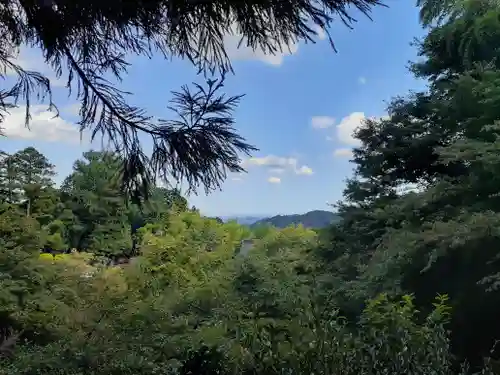 八王寺(埼玉県)