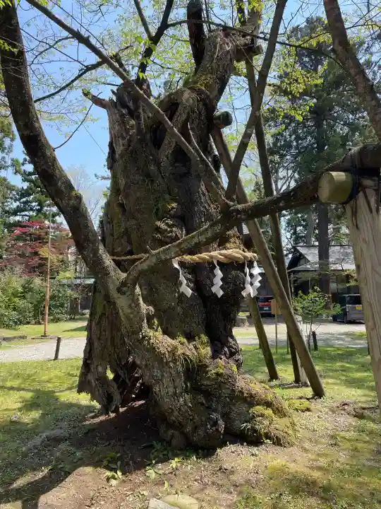 蠶養國神社(福島県)