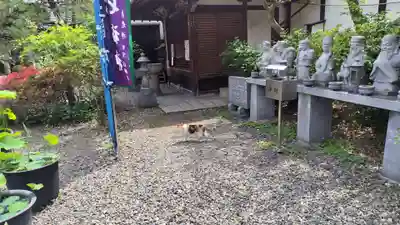 行願寺（革堂）(京都府)