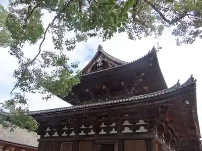 東寺（教王護国寺）(京都府)