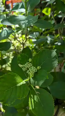 宝蔵寺(京都府)